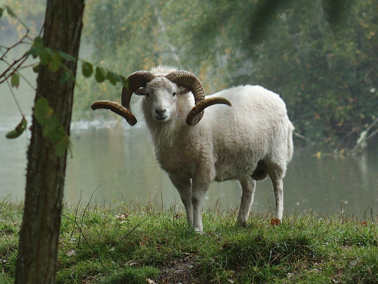 Aucune photo pour cette étape.